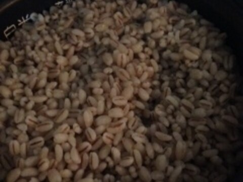 丸麦ご飯 炊き方 保存方法など